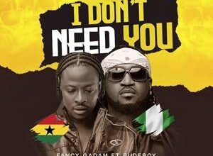 Fancy Gadam Ft Rudeboy - I Don’t Need You